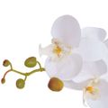 vidaXL Umelá rastlina, orchidea s kvetináčom 75 cm, biela