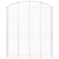 vidaXL Oblúkový gabionový kôš 200x50x220/240 cm pozinkované železo