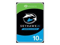 Pevný disk - 10 TB - interný - 3,5" - SATA 6Gb/s - 7200 ot/min. - vyrovnávacia pamäť: 256 MB