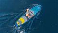 Paddleboard SUP REBEL ACTIVE RBA-4507-BL - MODRÝ 11' 335x84x15 cm