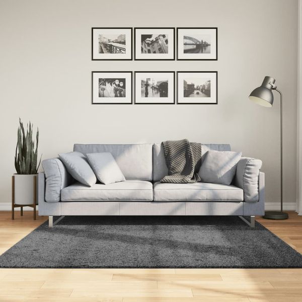 vidaXL Koberec OVIEDO, krátky vlas, antracitový 160x160 cm