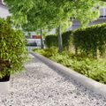 vidaXL Obrubník trávnika 30 ks 20 x 103 cm Nehrdzavejúca oceľ