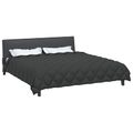 vidaXL Zimný prehoz 200 x 200 cm 450 gsm Mikrovlákno (100% polyester)
