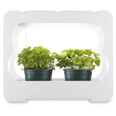 XAVAX Pestovacia stanica s LED svetlom