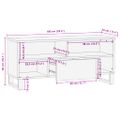 vidaXL TV skrinka 100x34x46 cm, mangový masív