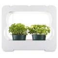 XAVAX Pestovacia stanica s LED svetlom