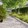 vidaXL Obrubník trávnika 10 ks 15 x 103 cm Nehrdzavejúca oceľ