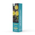 Forever Light Solar LED Lamp SUNARI FLS-95 Garlic flower 3000K 600mAh Ni-MH