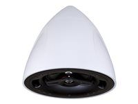 Reproduktor - pre PA systém - 125 watt - 2-cestný - biela