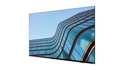 Lenovo ThinkVision E55 54,6''/16:9/3840x2160/8ms