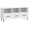 vidaXL TV skrinka Biela 102 x 34,5 x 50 cm Kompozitné drevo