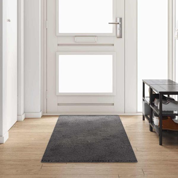 vidaXL Behúň koberec Sivá 80 x 300 cm 100% Polypropylén Tuft