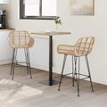 vidaXL Barová stolička 2 ks Prírodná 55 x 52 x 92 cm Ratan a železo