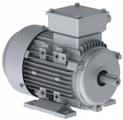Elektromotor 1AML 100L-2 4 kW 3000 ot/min