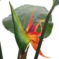 vidaXL Umelá rastlina Strelitzia Zelená 70 x 18 x 155 cm Textília a PE