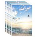 vidaXL Fotorámiky na stenu, koláž 5 ks, biele 42x59,4 cm, MDF