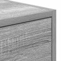 vidaXL TV skrinka 100 x 31 x 25,5 cm Sivý dub sonoma Kompozitné drevo