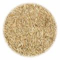 vidaXL Trávové semeno pre suché a horúce oblasti 10 kg