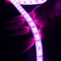 DELTACO SH-LS10M, SMART LED Pásik, 2x 5m, RGB