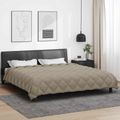 vidaXL Zimný prehoz 220 x 260 cm 450 gsm Mikrovlákno (100% polyester)