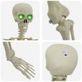 vidaXL Halloweenský Kostiak Biela 155 x 38,5 cm Polypropylén