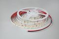 Modee LED pás DC24V 9,6W/m 128LED/m 8mm IP20 6000K (1150 lm/m) B5 (ML-LS24V48W128L/M6000KB5)
