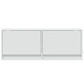 vidaXL TV nástenná skrinka s LED svetlami biela 100x31x38 cm