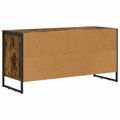 vidaXL TV skrinka 100 x 36 x 49,5 cm Dymová dub Kompozitné drevo