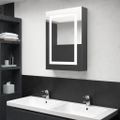 vidaXL LED kúpeľňová zrkadlová skrinka sivá 50x13x70 cm