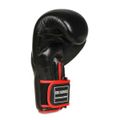 Boxerské rukavice DBX BUSHIDO BB2
