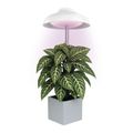 Pozemní svetlo EMOS Z7901 LED GROW 5 W, časovač, biela