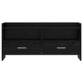 vidaXL TV skrinka 100 x 33 x 47 cm Čierny dub Kompozitné drevo