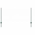 vidaXL Hexagonálny plot s stĺpom 25 x 1 m PVC potiahnutá oceľ Zelená