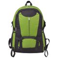 vidaXL Turistický batoh, 40 l, čierno-zelený