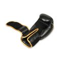 Boxerské rukavice DBX BUSHIDO B-2v17 16 oz