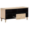 vidaXL TV skrinka 100x33x46 cm, mangový masív
