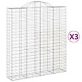 vidaXL Oblúkový gabionový kôš 3 ks 200x50x220/240cm pozinkované železo