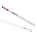 OSRAM | LED trubica 20 W 1500 mm 2300 lm SubstiTUBE, studená biela
