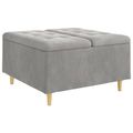 vidaXL Ottoman s Úložným Priestorom Svetlosivá 80 x 80 x 45 cm Zamat