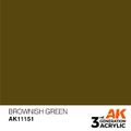 AK Interactive: General Series - Brownish Green