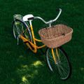 vidaXL Predný kôš na bicykel s poťahom 50x45x35 cm prírodná vŕba