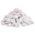 vidaXL Leštené kamienky 10 kg biele 2-5 cm