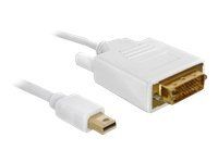 Kábel mini DisplayPort samec na DVI 24+1