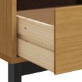 vidaXL TV skrinka FLAM 110x40x50 cm masívna borovica