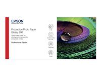 Polyetylén (PE) - lesklý - mikropóry - 200 mikrónov - Rola (60,96 cm x 30 m) - 200 g/m² - 1 rola fotografického papiera - pre SureColor P10000, P20000, SC-P10000, P20000, P6000, P7000, P7500, P8000, P9000, T7200