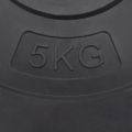 vidaXL Závažia na činku 6 ks 30 kg cement