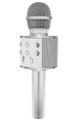 Karaoke mikrofón WS-858/Izoxis 22188 SILVER Karaoke mikrofon WS-858 / Izoxis 22188 SILVER