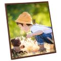 vidaXL Fotorámiky na stenu alebo stôl 5 ks bronzové 20x25 cm MDF