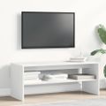 vidaXL TV skrinka biela 120x40x40 cm drevotrieska