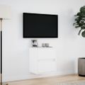vidaXL TV nástenná skrinka s LED svetlami biela 41x31x45 cm
